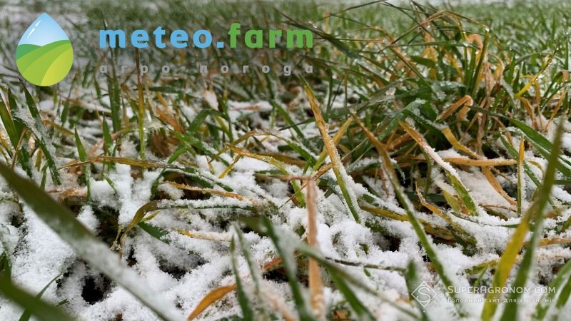 На Україну насувається похолодання з мокрим снігом і нічними заморозками