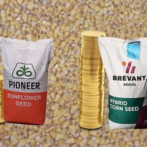 Семенной материал Brevant аграриям продавали дороже, чем семена Pioneer