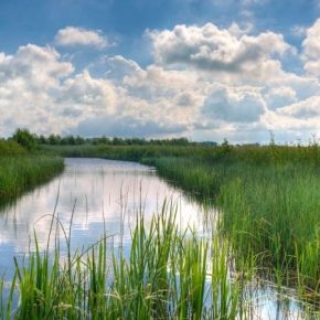 Дефицит осадков спровоцировал низкую водность рек — Укргидроэнерго