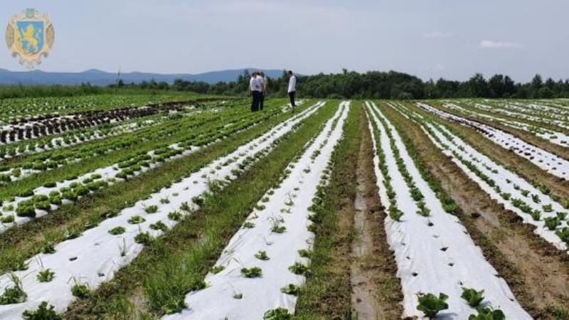 На Львівщині розвиватимуть органічне сільгоспвиробництво
