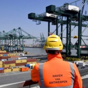 Порт Антверпена признано европейским центром незаконной торговли пестицидами