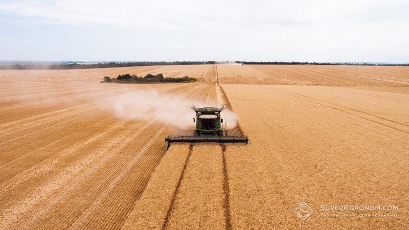 В Мінекономіки озвучили прогноз на цьогорічний врожай зерна в Україні