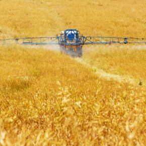 Европейские экологи выступили за сокращение использования пестицидов в сельском хозяйстве