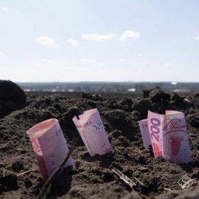 В Минэкономики признали неэффективность системы компенсации за потерянные посевы