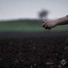 Определена площадь неформально обрабатываемых сельхозземель в Украине