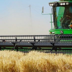 В Украине намолочено первые 100 тыс. тонн зерна нового урожая