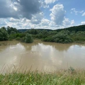 В результате паводков на Тернопольщине подтоплено около 600 на сельхозугодий