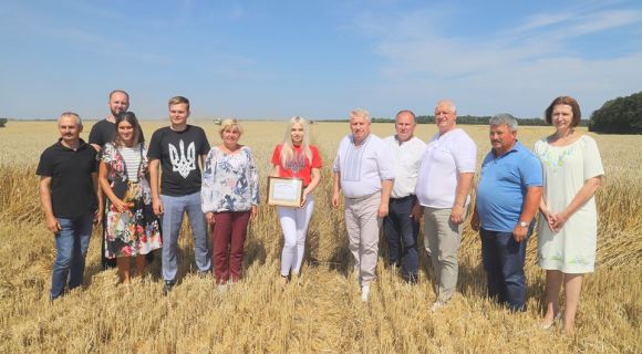В Україні зафіксовано новий рекорд врожайності пшениці