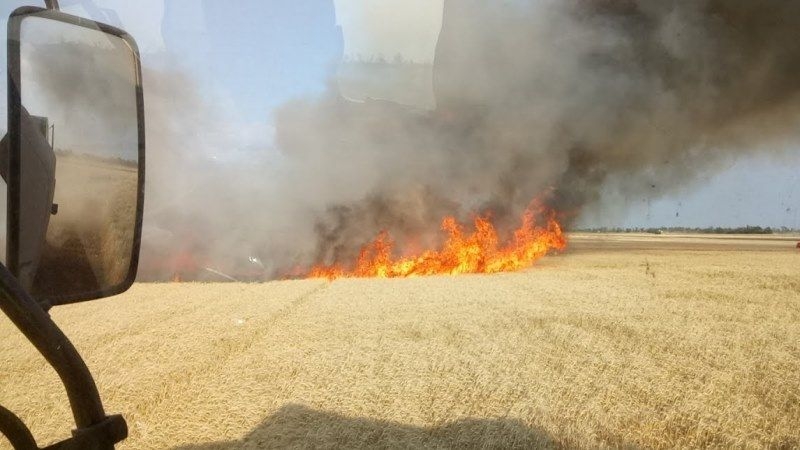 Через польові пожежі на Полтавщині вигоріло 23 га зернових