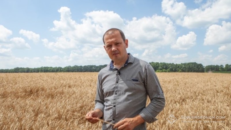 Біостимулятор допоміг впоратись з наслідками аномальних заморозків на пшениці — досвід ДГ Драбівське