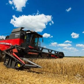 В Украине собрано четверть урожая ранних зерновых и зернобобовых культур