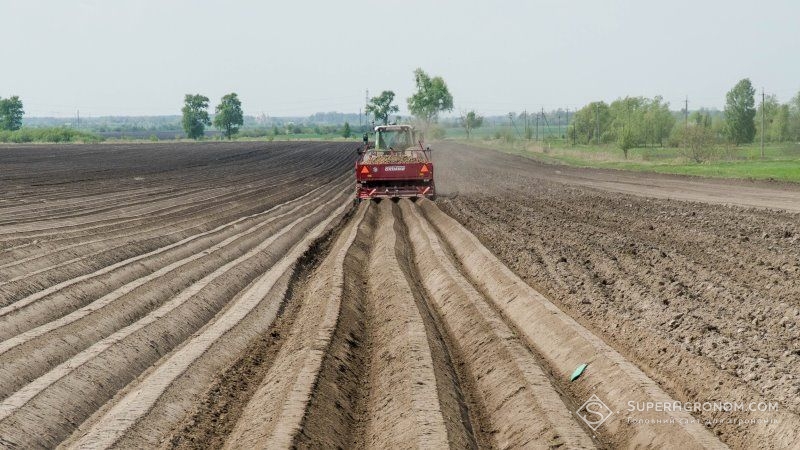В Україні презентували програму з розвитку промислового картоплярства