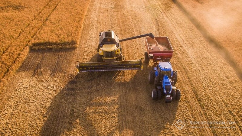 На Вінниччині знизилась середня врожайність пшениці та ячменю