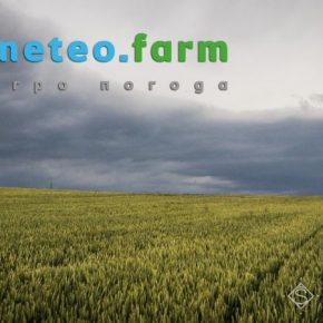 Конец июня в Украине выдался дождливым и жарким — Метео Фарм