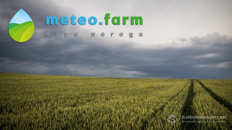 Кінець червня в Україні видався дощовим та спекотним — Метео Фарм