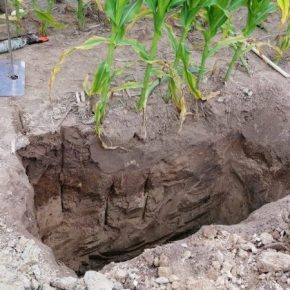 Для повышения эффективности агропроизводства A. G. R. Group проводит регулярный анализ почв