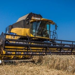 На юге Николаевской области подходит к концу уборка ранних зерновых