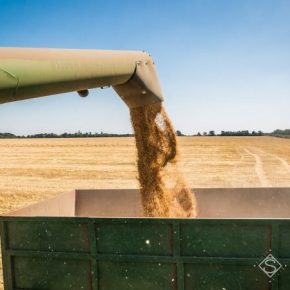 В Днепропетровской области намолочено первый миллион тонн зерна нового урожая