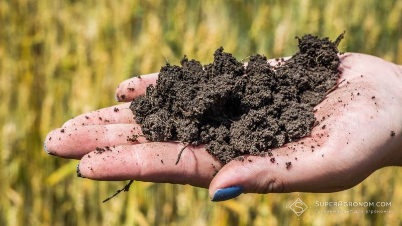 Україна потребує впровадження нової стратегії збереження і раціонального використання ґрунтів, — вчені