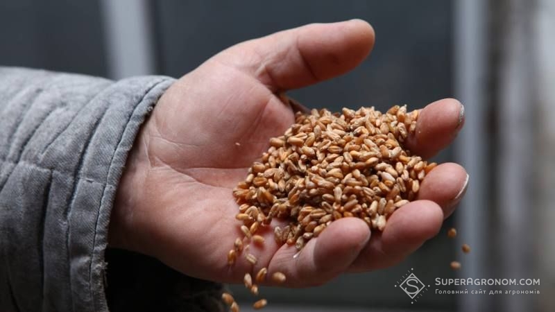 З початку року сільгоспвиробництво в Україні скоротилося на 19% — Держстат