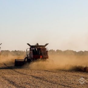 С полей на Харьковщине собран первый миллион тонн зерна нового урожая