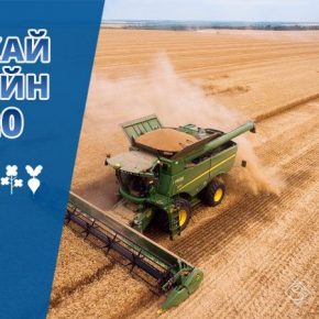 Жатва пшеницы в Украине начато при средней урожайности 2,2 т/га