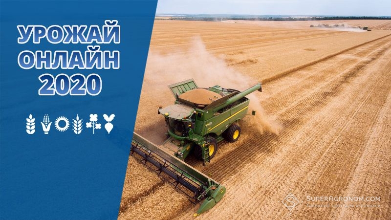 Жнива пшениці в Україні розпочато за середньої врожайності 2,2 т/га