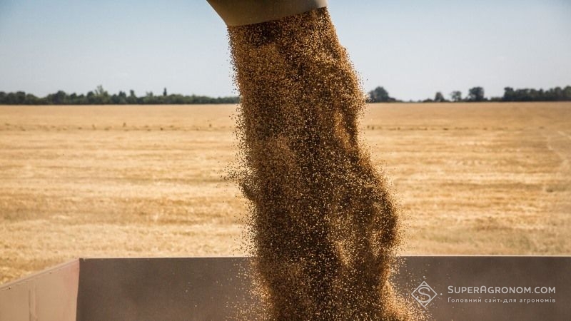 Виробництво зерна в Україні може сягнути 73 млн тонн — прогноз