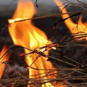 После уборки ранних зерновых участились случаи пожаров на полях — ГСЧС