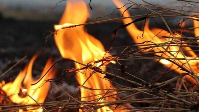 Після збирання ранніх зернових почастішали випадки пожеж на полях — ДСНС