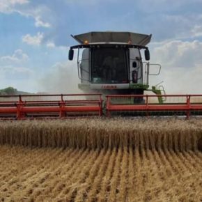 Волынское хозяйство завершило жатву пшеницы при урожайности 7,5 т/га