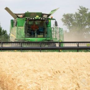 Аграрии Полтавской области завершили уборку ранних зерновых