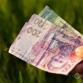 Государственная поддержка аграриев на 2022 год: подробный обзор Государственная поддержка аграриев на 2022 год: подробный обзор