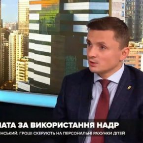 «Государство сначала должно взять контроль над энергоресурсами страны», – Михаил Головко об экономическом паспорте украинца
