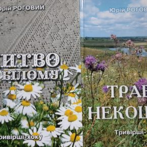 С пространства временной реки мастера хока – Юрия Рогового
