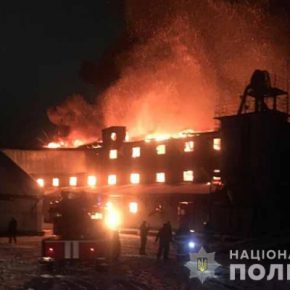 Полиция начала уголовное производство по факту пожара на Чортковском хлебокомбинате Полиция начала уголовное производство по факту пожара на Чортковском хлебокомбинате