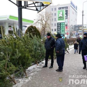 Тернопольские правоохранители проверяют легальность продаж елок и пиротехники