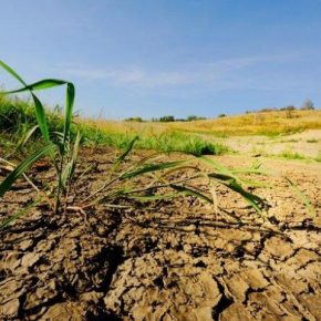 В Украине критически снижается плодородие почв
