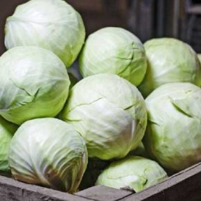 Цены на продукты в Украине: что больше всего подорожало за 2021 год