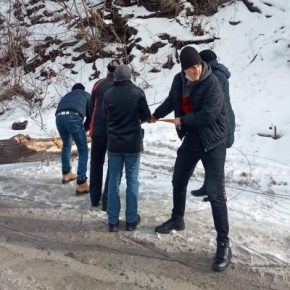 В Тернопольской области ветер повалил дерево на дорогу