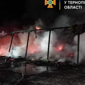 Пожар на Тернопольщине: сгорели 700 тюков соломы