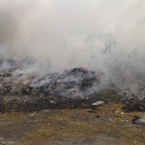 В Кременце сегодня горела свалка