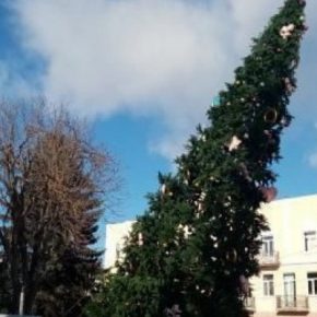 У Подгайцев порывистый ветер не удержала новогодняя елка
