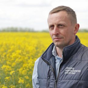 При внесении удобрений должен быть баланс между поддержанием плодородия и экономической эффективностью в целом технологии питания