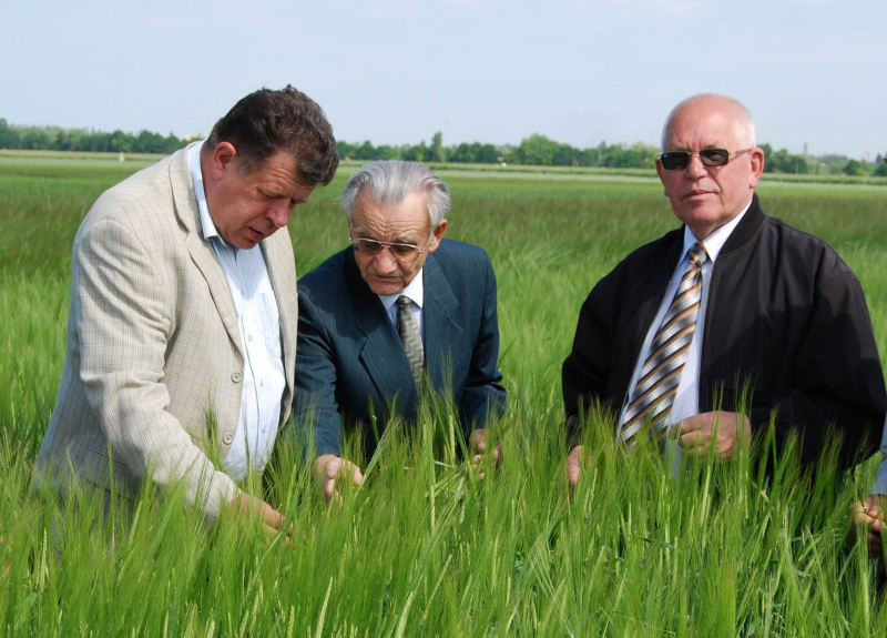 Украинские селекционеры разрабатывают сорта-двуручки пшеницы </p>
<p><em><strong>Селекционно-генетический институт — Национальный центр семеноведения и сортоизучения НААН занимается разработкой сортов-двуручков пшеницы. </strong></em></p>
<p>Об этом рассказал директор института, член-корреспондент НААН Вячеслав Соколов.</p><!-- adman_adcode (middle, 1) --><script async src=