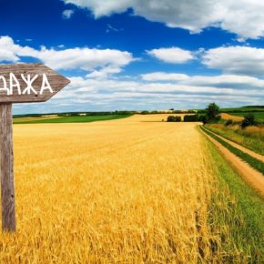 В Украине выросла средняя стоимость с/х земли