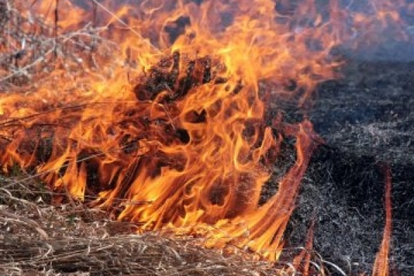 Из-за сжигания сухой травы погиб житель Тернопольщины