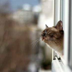 На Тернопольщину пришла весна, но холода еще вернутся