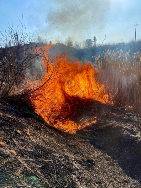 Спасатели Тернопольщины жалуются на неслыханное количество поджигателей травы