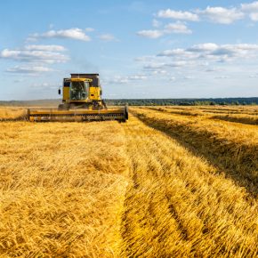 Чем грозит для украинских аграриев блокировка россией портов